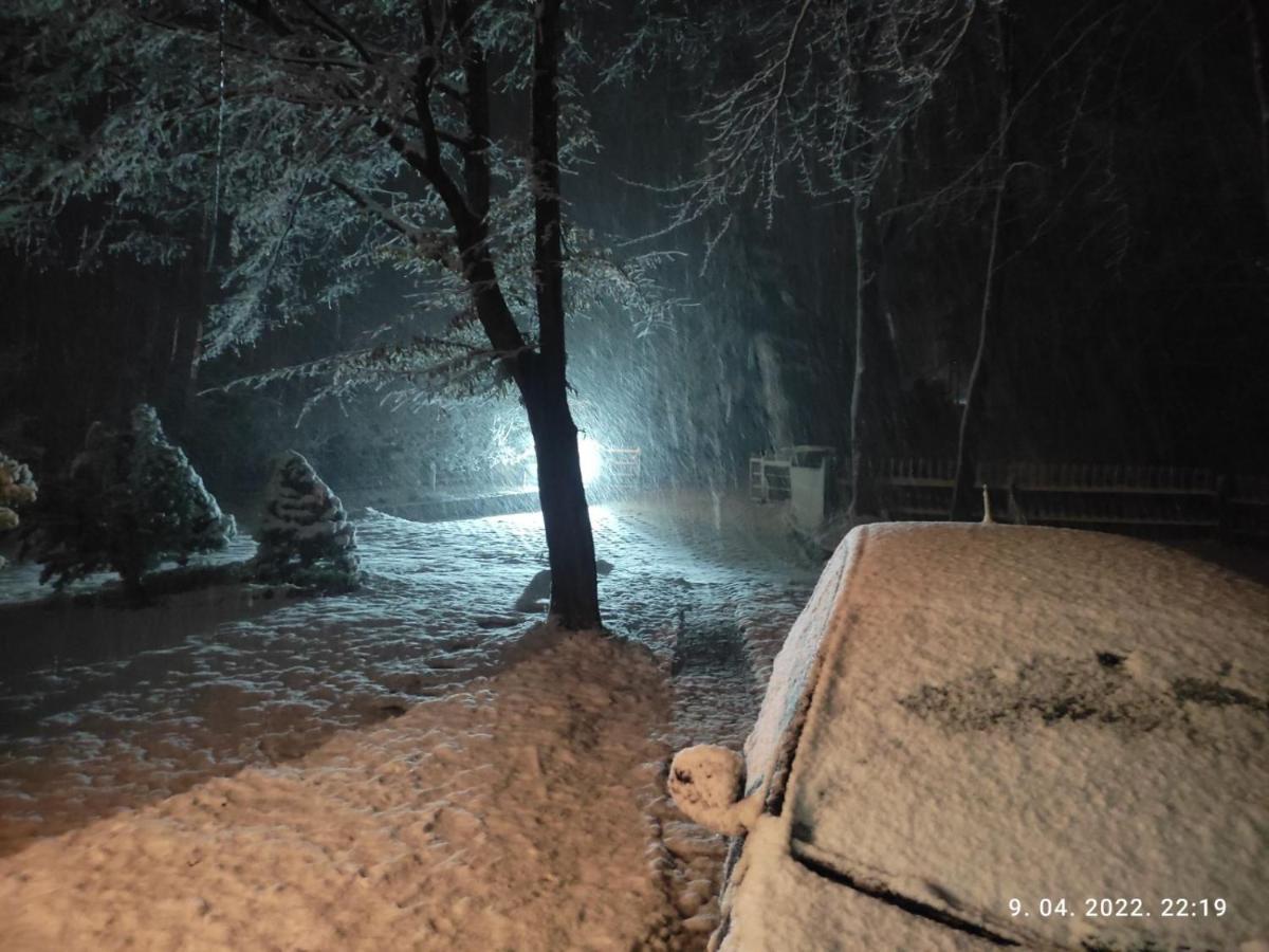 Villa Ema SJJ Buitenkant foto